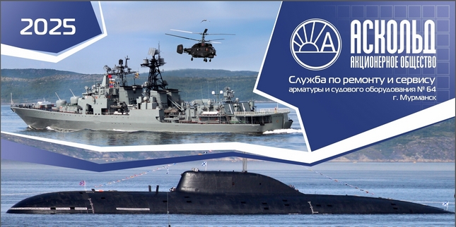 День военно-морского флота в Североморске